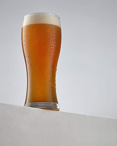 https://advancedmixology.com/cdn/shop/products/joyjolt-joyjolt-callen-beer-glasses-set-of-4-four-pint-glass-capacity-craft-beer-glass-pilsner-beer-glass-and-ipa-beer-glass-15-5oz-beer-glassware-cup-classic-beer-glasses-for-men-158_f020cf01-ddbe-42f0-b1be-db23b670e0ea.jpg?v=1643890625