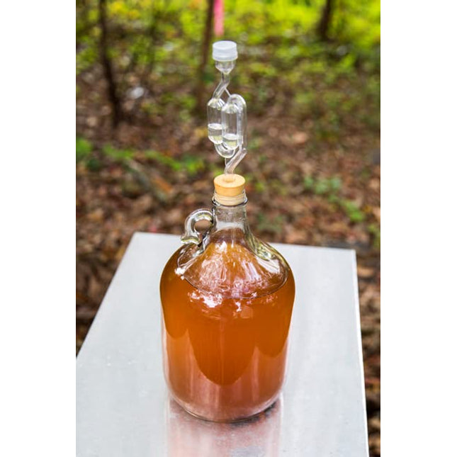Mead Making Kit by Must Bee- 1 Gallon Reusable Fermentation Kit to Make Honey Wine