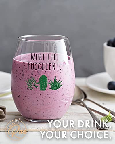 succulent drink On The Rox Drinks Succulent Plant Cactus Gifts for Women- Set of 2 Funny Wine Glasses 15oz - Plant Lover Gift Mug