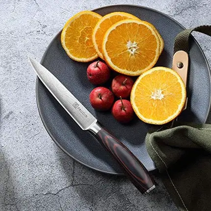 PAUDIN Utility Knife 5 inch Chef Knife German High Carbon Stainless Steel Knife, Fruit and Vegetable Cutting Chopping Carving Knives, Ergonomic Handle with Gifted Box