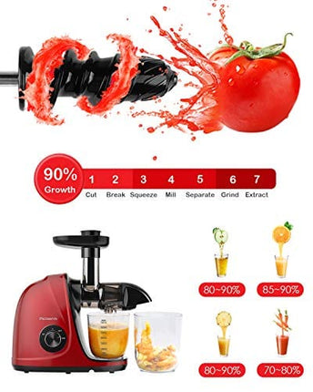 Juicer Machines, Slow Masticating Juicer with Brush and Easy to Clean, Cold Pressed Juicer with Quiet Motor and Reverse Function, Juicer Extractor，Recipes for Fruits and Vegetables