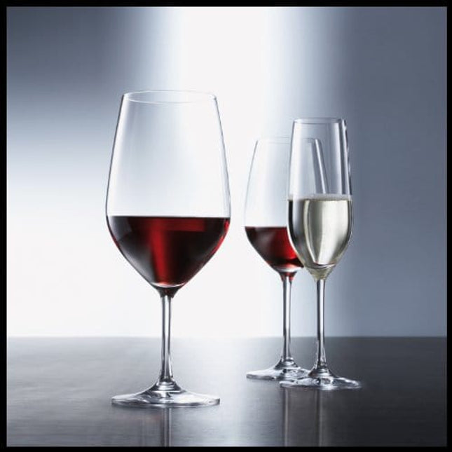 Schott Zwiesel Tritan Crystal Glass Forte Stemware Collection Champagne Flute with Effervescence Points, 7.7-Ounce, Set of 6