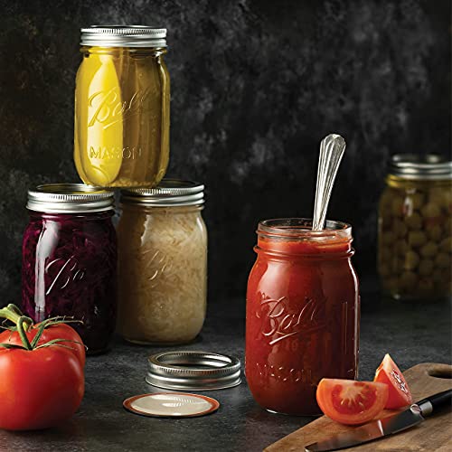 https://advancedmixology.com/cdn/shop/products/sewanta-kitchen-sewanta-regular-mouth-mason-jars-16-oz-5-pack-with-mason-jar-lids-and-bands-mason-jars-16-oz-for-canning-fermenting-pickling-jar-decor-microwave-freeze-dishwasher-safe_2e0120a2-462a-4fe6-8dec-19f867b0295f.jpg?v=1676718476