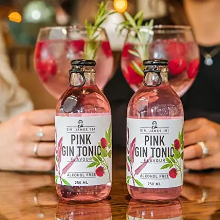 Sir. James 101 Pink Gin and Tonic | Alcohol-Free Beverage (12-Pack)