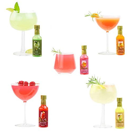 Thoughtfully Cocktails, Premium Gin Cocktail Mixers Gift Set, Pre-Measured Mixers Include Fruit Flavors Lime, Elder-Flower, Rose Flower, Mandarin and Raspberry, Set of 5 (Contains NO Alcohol)