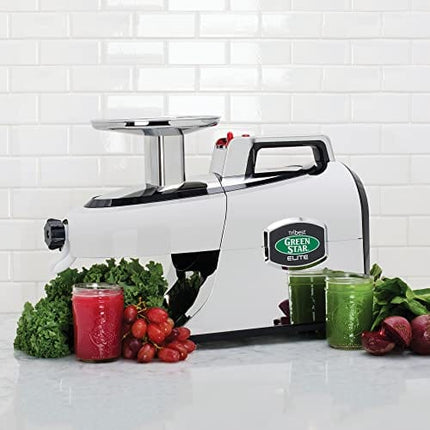 Tribest Greenstar GSE-5050 Elite Slow Masticating Juicer, Twin Gear Cold Press Juicer & Juice Extractor, Chrome
