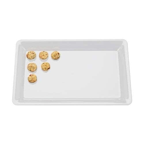 12 Plastic Serving Trays 9x13 Inches Rectangular Disposable Serving Trays  and Platters for Parties | Clear Plastic Serving Platter for Food - Party